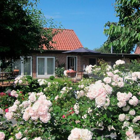 شقة "Rosenkate 1" Riepsdorf المظهر الخارجي الصورة