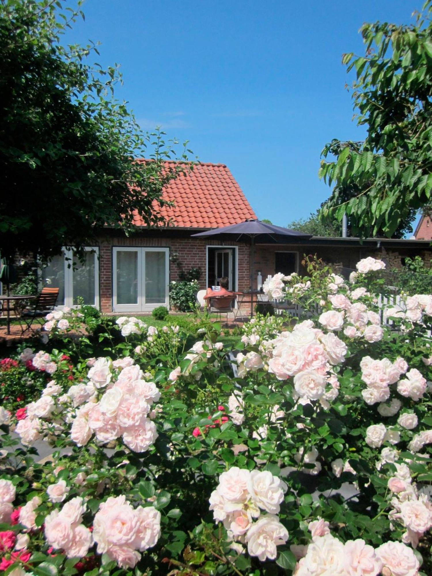 شقة "Rosenkate 1" Riepsdorf المظهر الخارجي الصورة